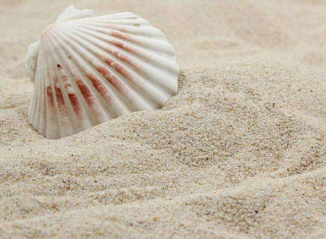 海沙檢測