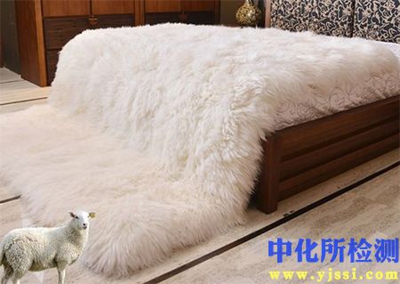 毛毯檢測(cè)