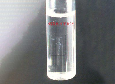 可見異物檢測