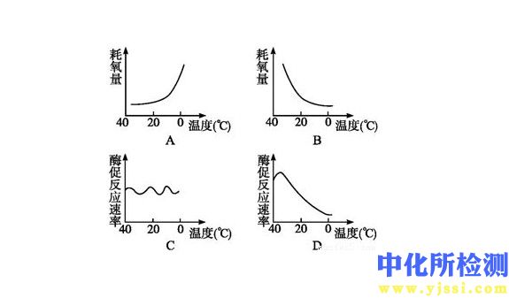 耗氧量試驗