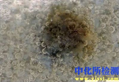 結晶釉分析