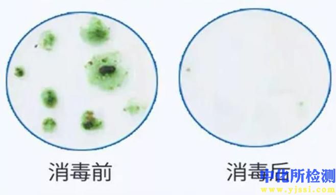 殺菌率測(cè)試
