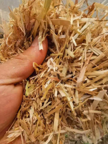 秸稈檢測